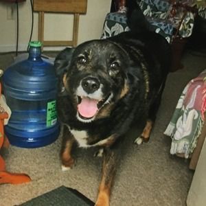 Meet your Posher, Paul